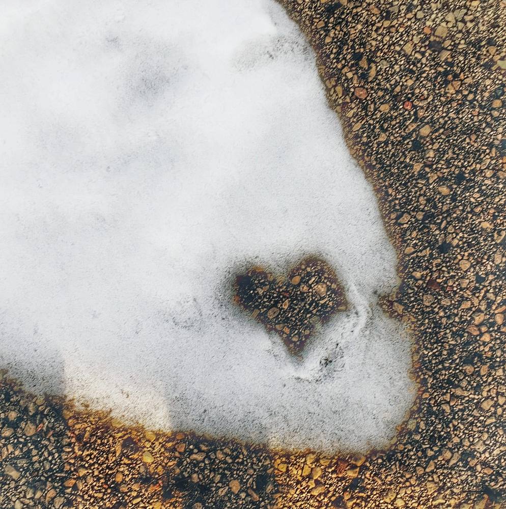 Meet your Posher, Jodi